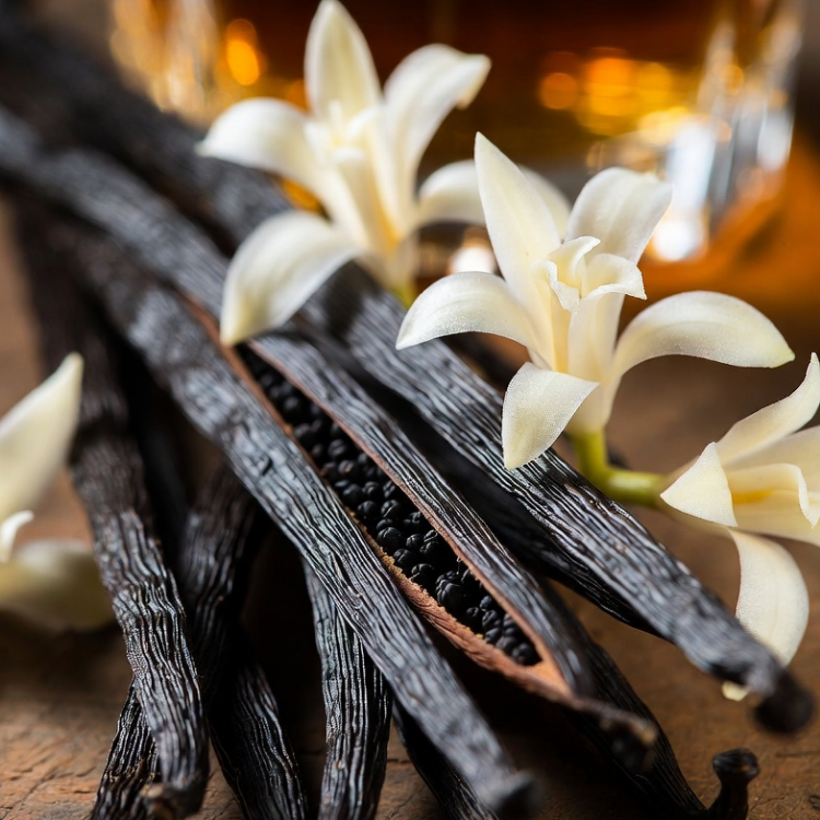 Vanilla & Bourbon (14oz)